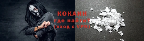 крисы Карпинск