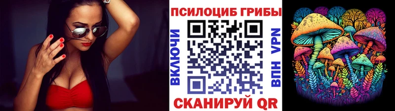 дарнет шоп  Кимры  Галлюциногенные грибы Psilocybine cubensis 