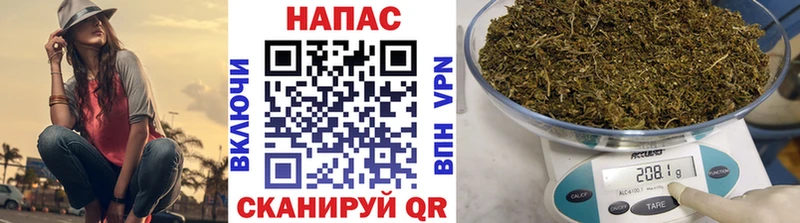 Бошки марихуана OG Kush  Кимры 
